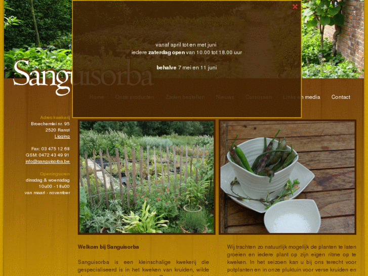 www.sanguisorba.be