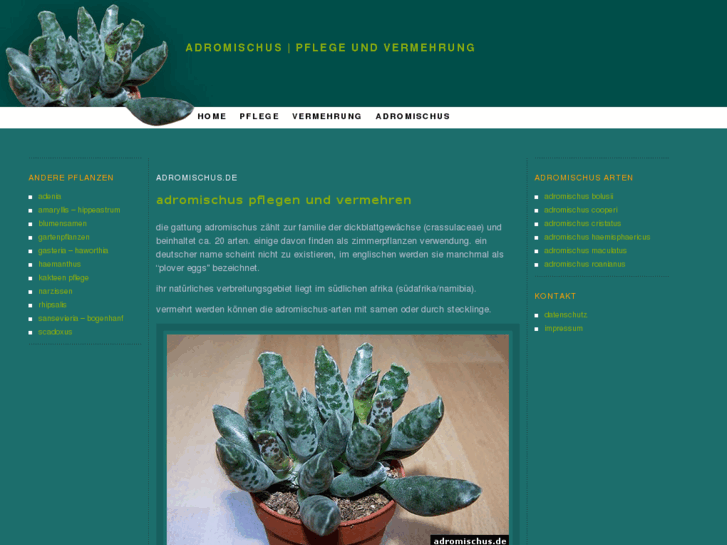 www.adromischus.de