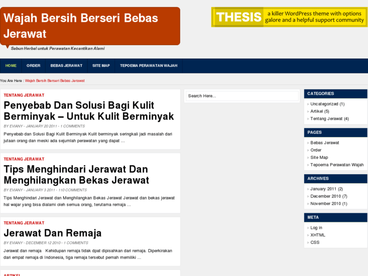 www.bebasjerawat.net