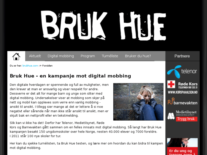 www.brukhue.com