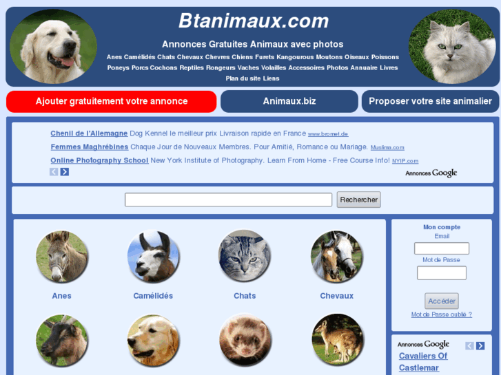 www.btanimaux.com