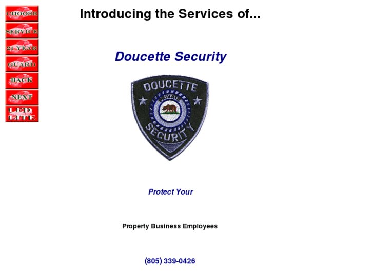 www.doucettesecurity.com