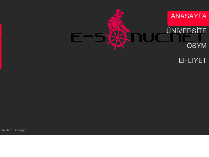 www.e-sonuc.net