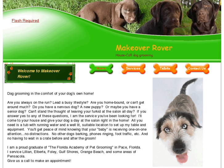 www.make-overrover.com