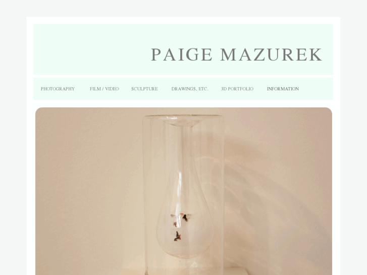 www.paigemazurek.com