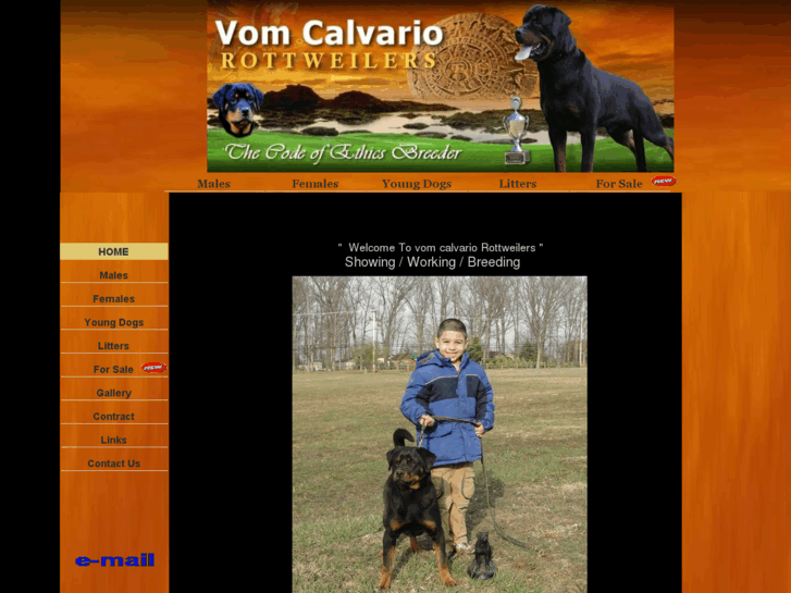 www.vomcalvario.com