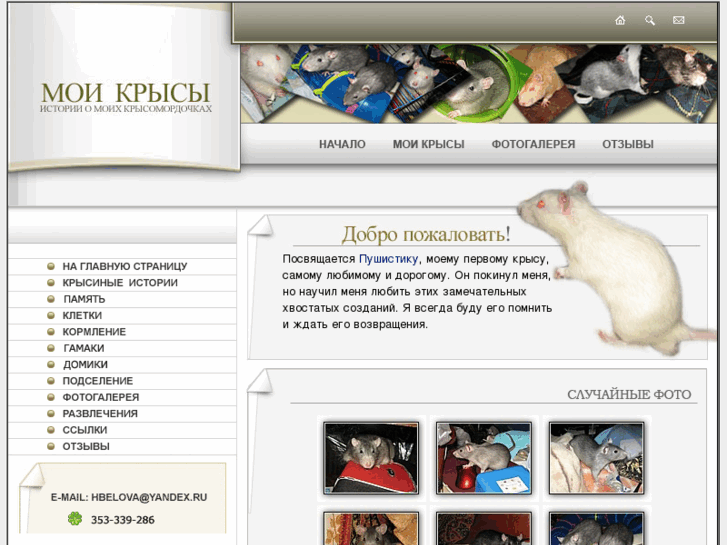 www.myrats.info