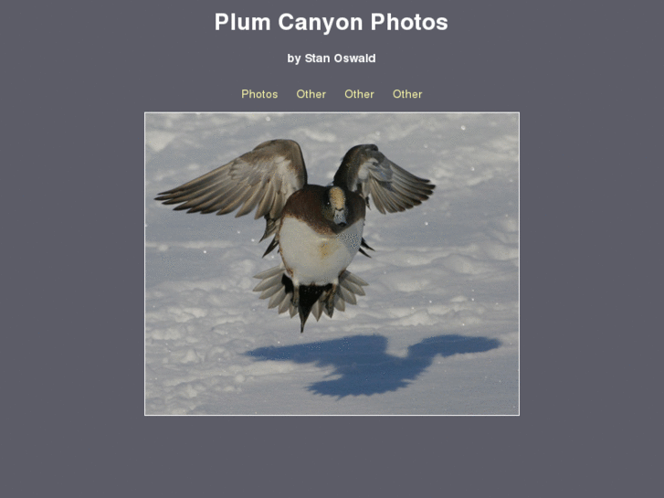 www.plumcanyonphotos.com