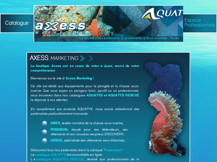 www.axess-marketing.com