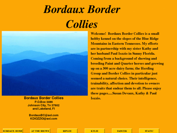 www.bordauxbordercollie.com