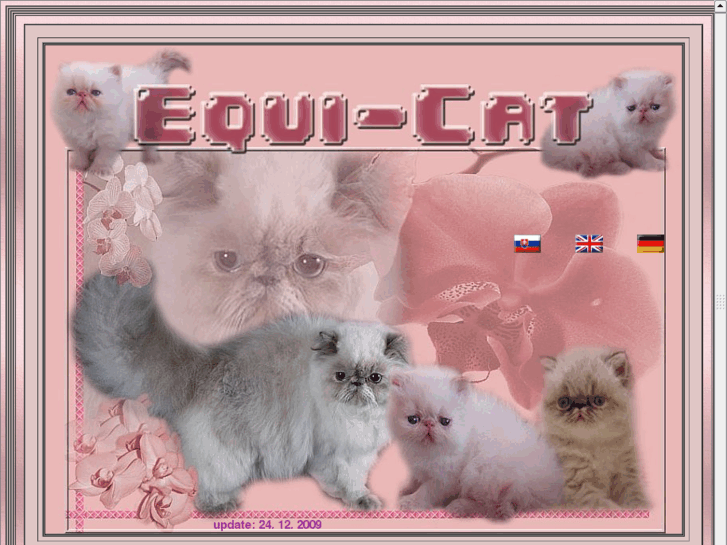 www.persian-equicat.com