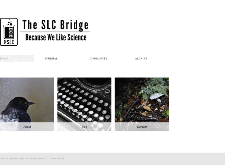 www.theslcbridge.com