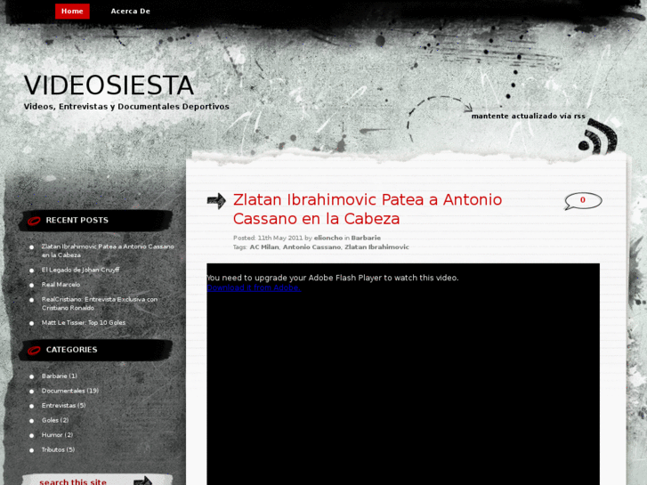 www.videosiesta.com