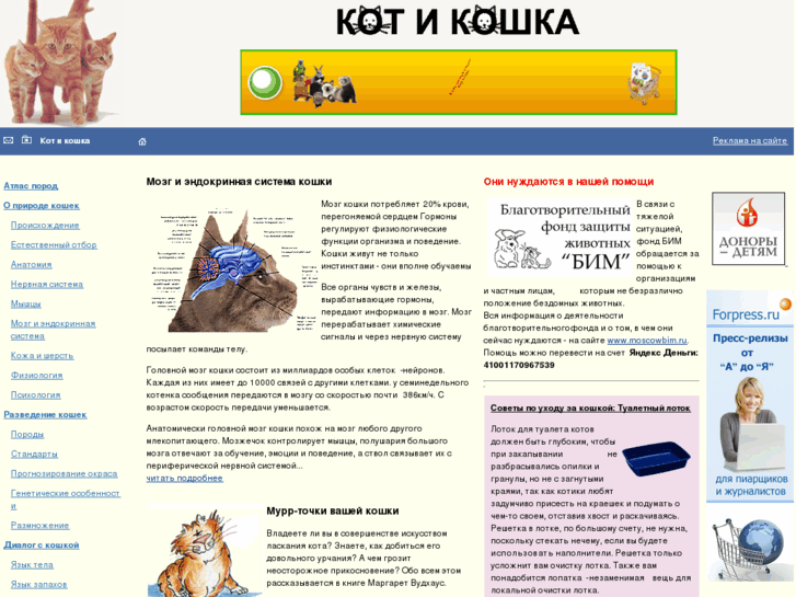 www.kotikoshka.ru