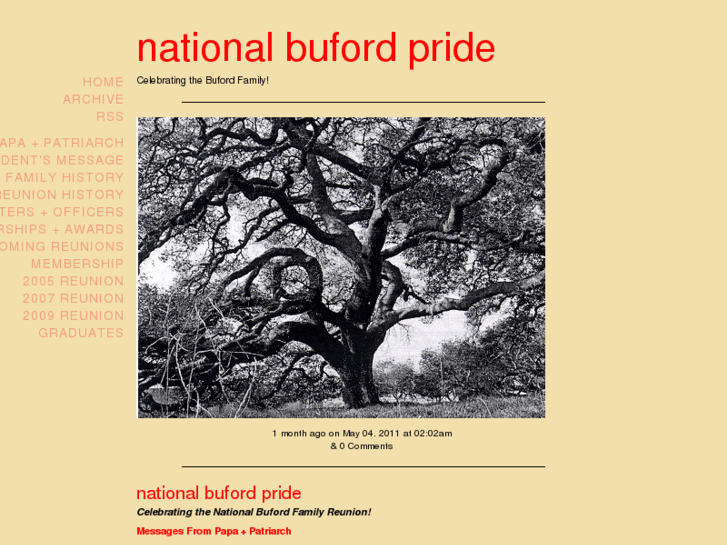 www.nationalbufordpride.com