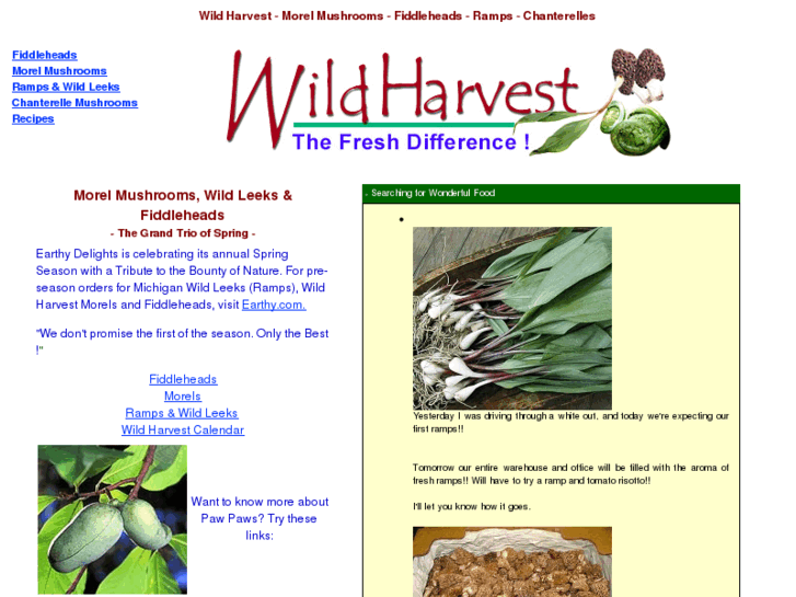 www.wild-food.com