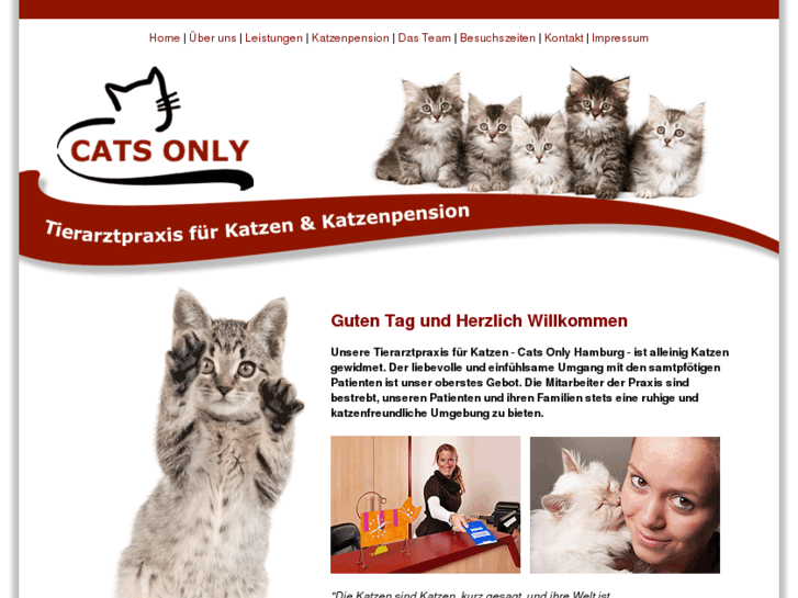 www.cats-only-hamburg.com