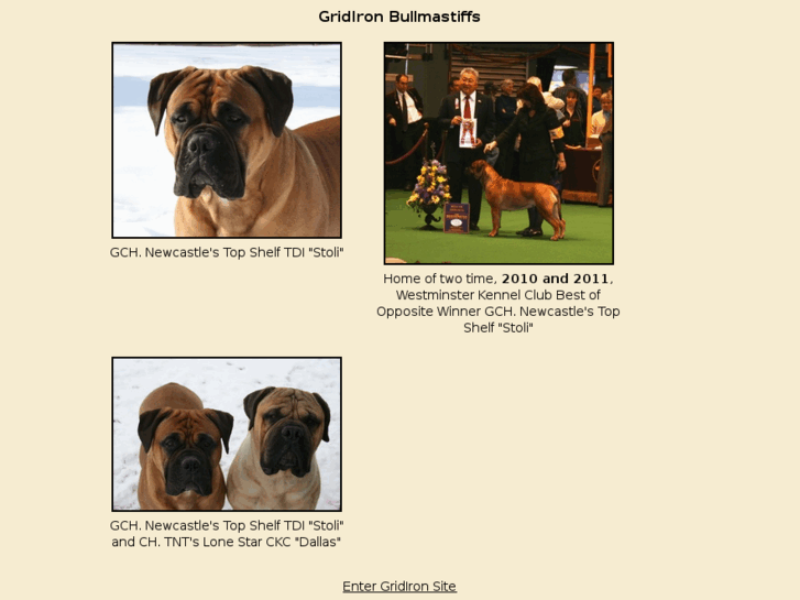 www.gridironbullmastiffs.com