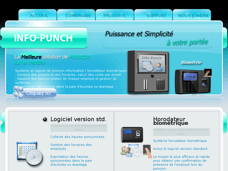 www.info-punch.com