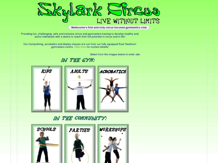 www.skylarkcircus.com