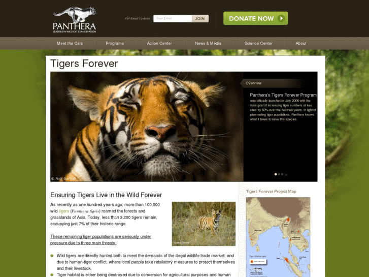 www.tigersforever.org