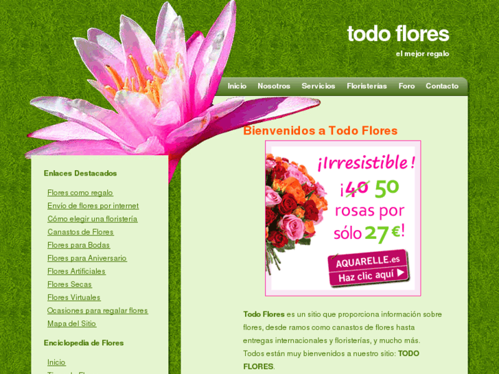 www.todo-flores.com