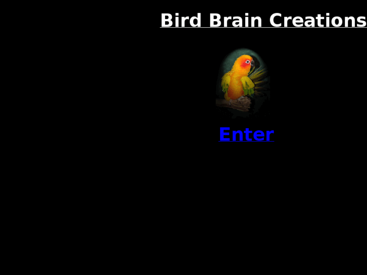 www.zbirdbrain.com