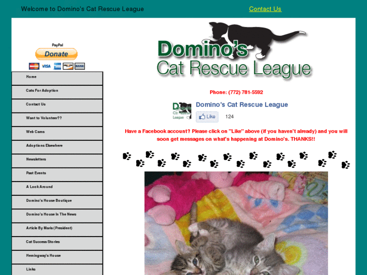 www.dominoshouse.org