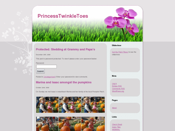 www.princesstwinkletoes.com