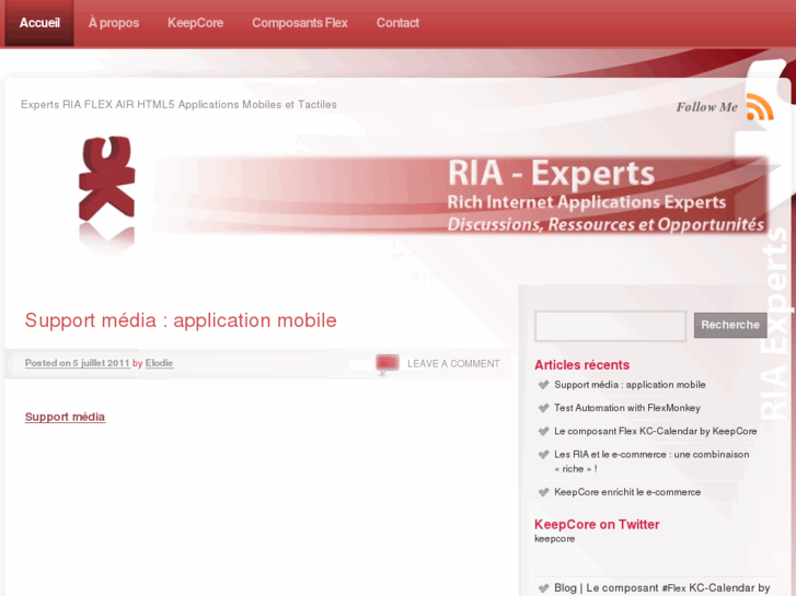 www.ria-experts.com