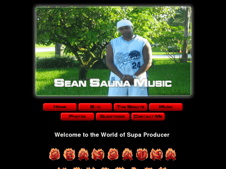 www.seansaunamusic.com