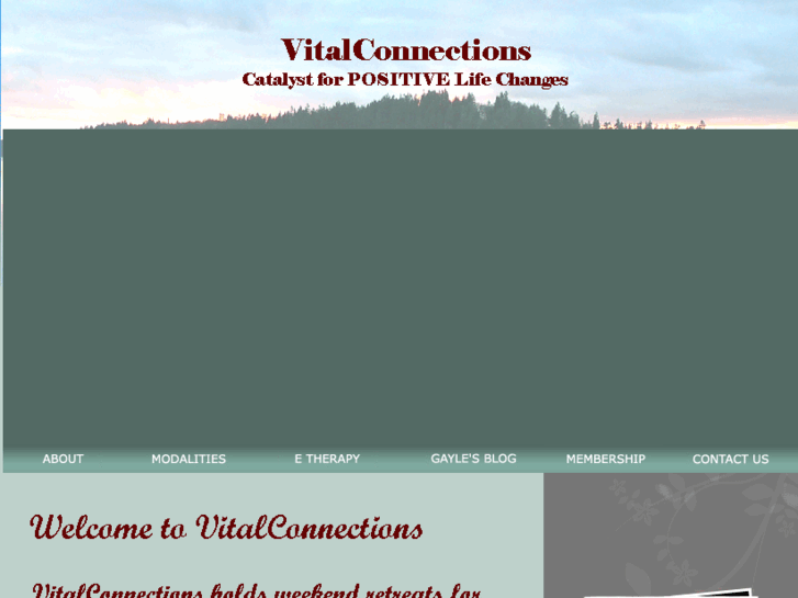 www.vitalconnections.net