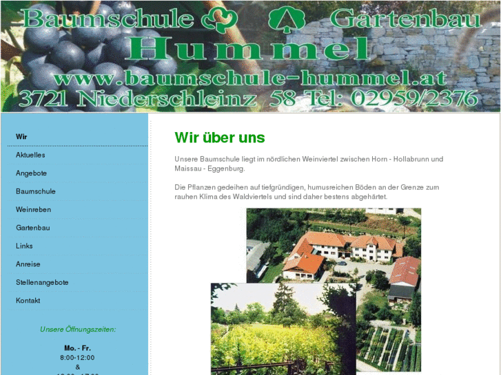 www.baumschule-hummel.com