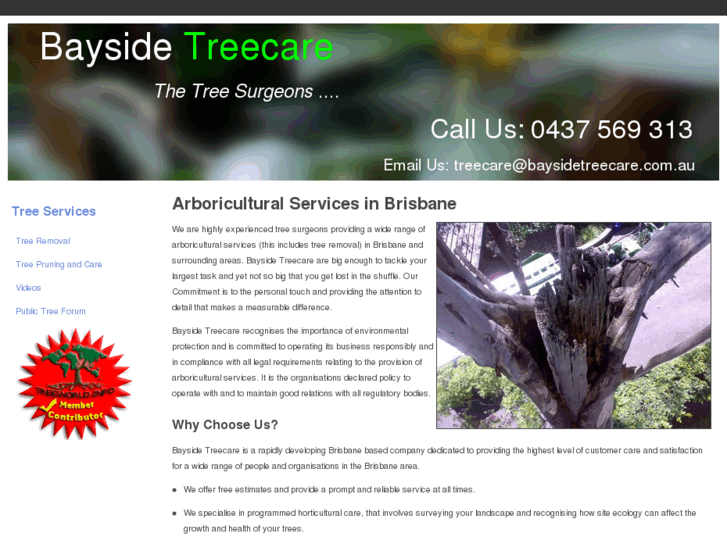 www.baysidetreecare.com