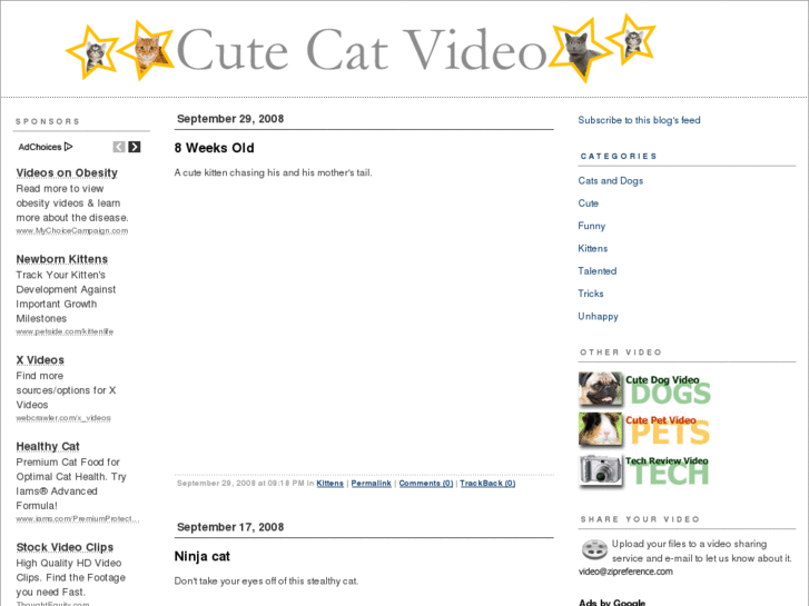 www.cutecatvideo.com