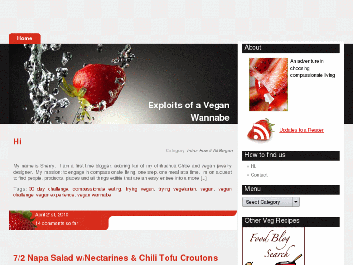 www.exploitsofaveganwannabe.com