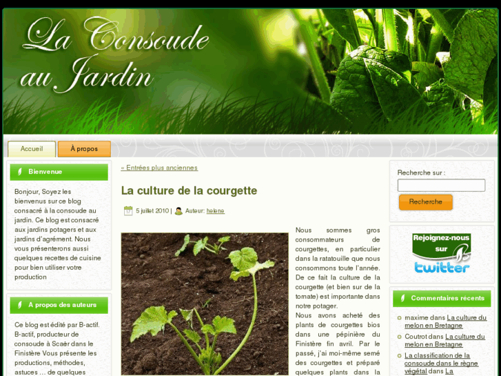 www.la-consoude-au-jardin.fr