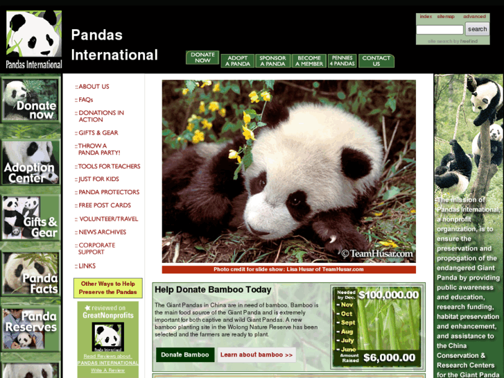 www.pandasinternational.org