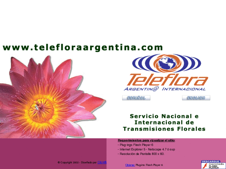 www.telefloraargentina.com