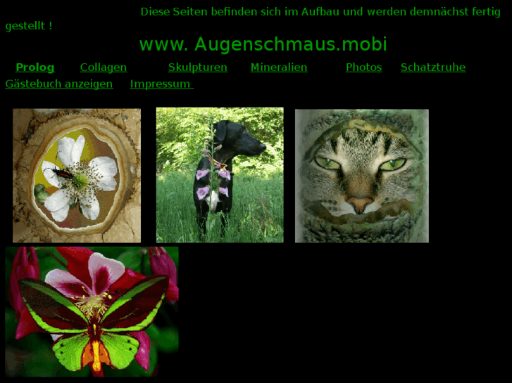 www.augenschmaus.mobi