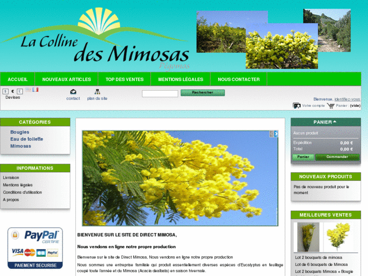 www.directmimosa.fr