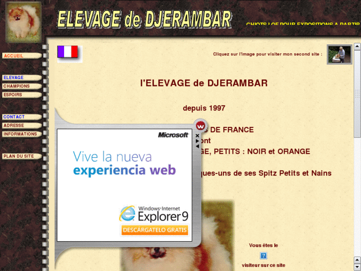 www.elevage-de-djerambar.com