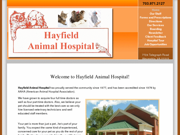 www.hayfieldanimalhospital.com