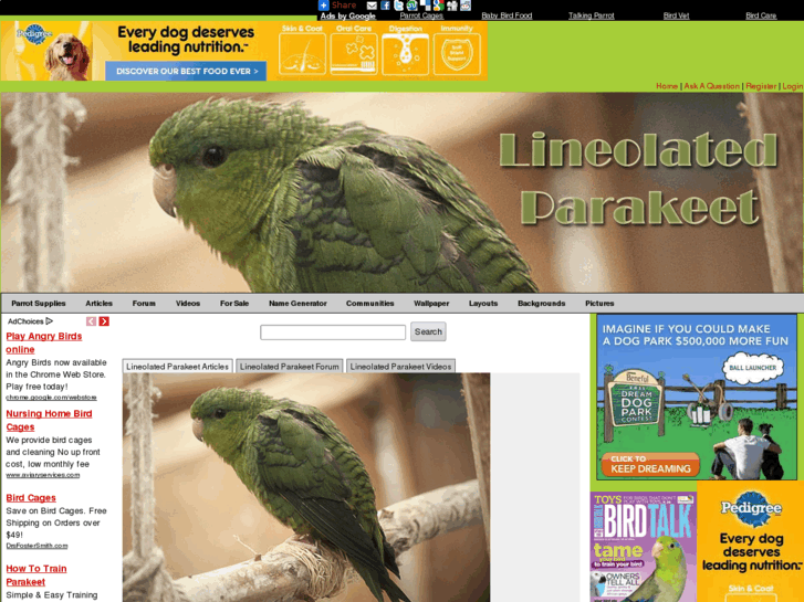 www.lineolated-parakeet.com