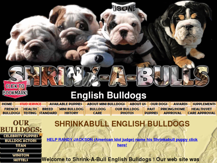 www.miniature-englishbulldogs.com