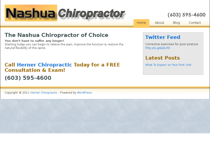 www.nashua-chiropractor.com