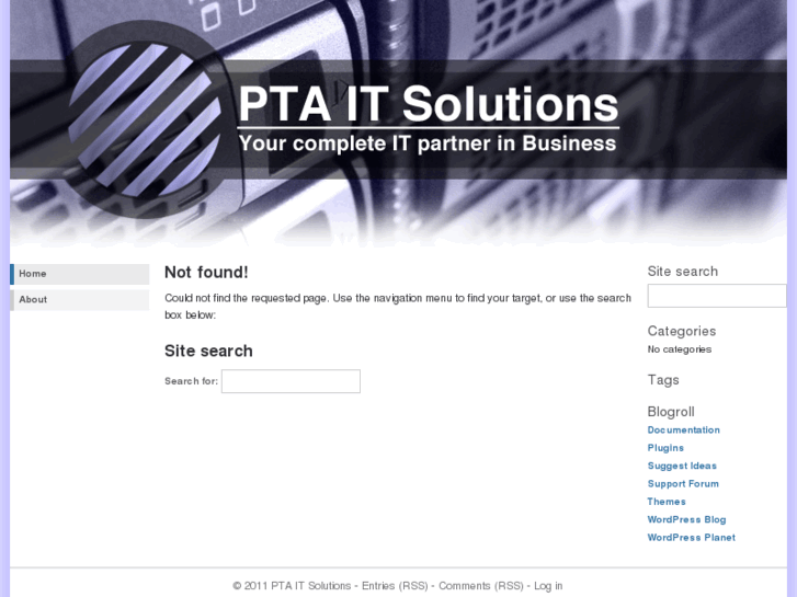 www.ptaitsolutions.net