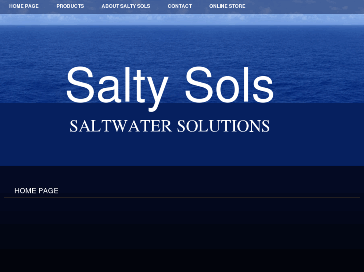 www.saltysols.com