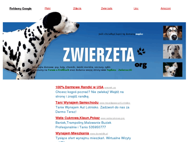 www.zwierzeta.org