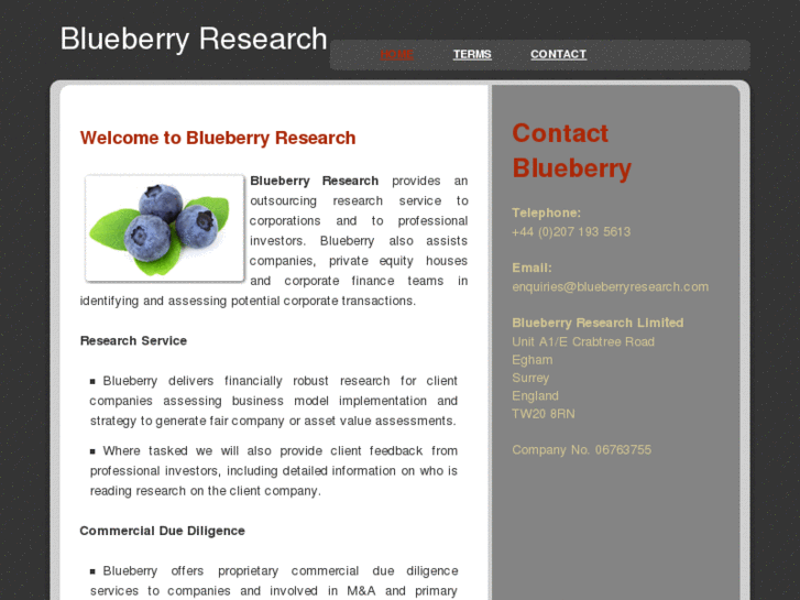 www.blueberryresearch.com